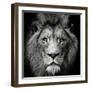 Stare Me Down #3-Christian Meermann-Framed Photographic Print