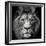 Stare Me Down #3-Christian Meermann-Framed Photographic Print