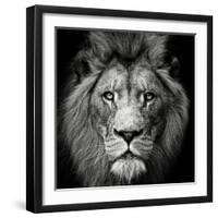 Stare Me Down #3-Christian Meermann-Framed Photographic Print