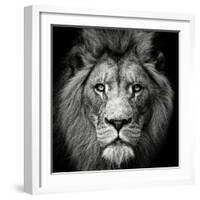 Stare Me Down #3-Christian Meermann-Framed Photographic Print