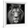 Stare Me Down #3-Christian Meermann-Framed Photographic Print