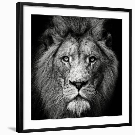 Stare Me Down #3-Christian Meermann-Framed Photographic Print