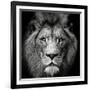 Stare Me Down #3-Christian Meermann-Framed Photographic Print