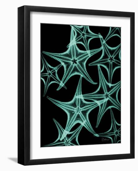 Starfish 1-Albert Koetsier-Framed Art Print