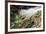 Starfish and anemones, Bamdoroshni Island off the coast of Sitka, Alaska-Mark A Johnson-Framed Photographic Print