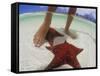Starfish and Feet, Bahamas, Caribbean-Greg Johnston-Framed Stretched Canvas