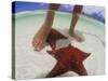 Starfish and Feet, Bahamas, Caribbean-Greg Johnston-Stretched Canvas