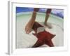 Starfish and Feet, Bahamas, Caribbean-Greg Johnston-Framed Photographic Print