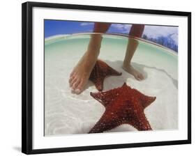 Starfish and Feet, Bahamas, Caribbean-Greg Johnston-Framed Photographic Print