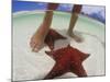 Starfish and Feet, Bahamas, Caribbean-Greg Johnston-Mounted Photographic Print