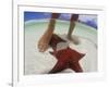 Starfish and Feet, Bahamas, Caribbean-Greg Johnston-Framed Photographic Print