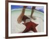 Starfish and Feet, Bahamas, Caribbean-Greg Johnston-Framed Photographic Print