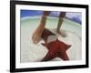 Starfish and Feet, Bahamas, Caribbean-Greg Johnston-Framed Photographic Print