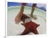 Starfish and Feet, Bahamas, Caribbean-Greg Johnston-Framed Photographic Print