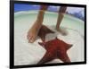 Starfish and Feet, Bahamas, Caribbean-Greg Johnston-Framed Photographic Print