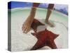 Starfish and Feet, Bahamas, Caribbean-Greg Johnston-Stretched Canvas