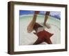 Starfish and Feet, Bahamas, Caribbean-Greg Johnston-Framed Photographic Print