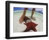 Starfish and Feet, Bahamas, Caribbean-Greg Johnston-Framed Photographic Print