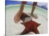 Starfish and Feet, Bahamas, Caribbean-Greg Johnston-Stretched Canvas