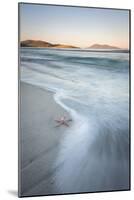 Starfish and Flowing Tide at Luskentyre Losgaintir Beach, Isle of Harris, Outer Hebrides, Scotland-Stewart Smith-Mounted Photographic Print