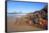 Starfish and Rock Formations Along Indian Beach, Oregon Coast-Craig Tuttle-Framed Stretched Canvas