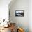 Starfish and Rock Formations along Indian Beach, Oregon Coast-Craig Tuttle-Framed Stretched Canvas displayed on a wall