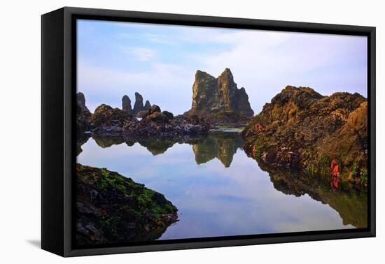 Starfish and Rock Formations along Indian Beach, Oregon Coast-Craig Tuttle-Framed Stretched Canvas