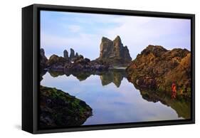 Starfish and Rock Formations along Indian Beach, Oregon Coast-Craig Tuttle-Framed Stretched Canvas