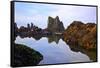 Starfish and Rock Formations along Indian Beach, Oregon Coast-Craig Tuttle-Framed Stretched Canvas