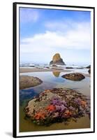 Starfish and Rock Formations along Indian Beach, Oregon Coast-Craig Tuttle-Framed Premium Photographic Print