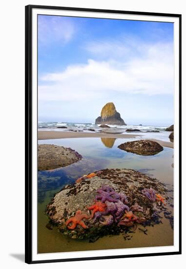 Starfish and Rock Formations along Indian Beach, Oregon Coast-Craig Tuttle-Framed Premium Photographic Print