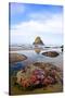 Starfish and Rock Formations along Indian Beach, Oregon Coast-Craig Tuttle-Stretched Canvas