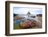 Starfish and Rock Formations Along Indian Beach, Oregon Coast-Craig Tuttle-Framed Photographic Print