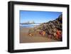 Starfish and Rock Formations Along Indian Beach, Oregon Coast-Craig Tuttle-Framed Photographic Print