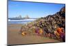 Starfish and Rock Formations Along Indian Beach, Oregon Coast-Craig Tuttle-Mounted Photographic Print