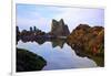 Starfish and Rock Formations along Indian Beach, Oregon Coast-Craig Tuttle-Framed Photographic Print