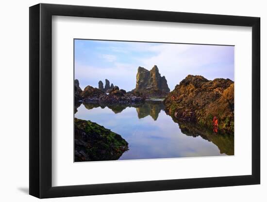 Starfish and Rock Formations along Indian Beach, Oregon Coast-Craig Tuttle-Framed Photographic Print