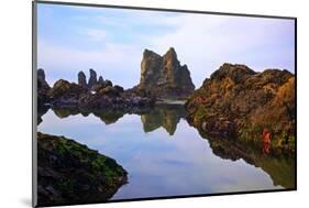 Starfish and Rock Formations along Indian Beach, Oregon Coast-Craig Tuttle-Mounted Photographic Print