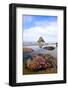 Starfish and Rock Formations along Indian Beach, Oregon Coast-Craig Tuttle-Framed Photographic Print