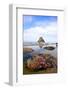 Starfish and Rock Formations along Indian Beach, Oregon Coast-Craig Tuttle-Framed Photographic Print