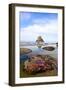 Starfish and Rock Formations along Indian Beach, Oregon Coast-Craig Tuttle-Framed Photographic Print