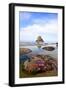 Starfish and Rock Formations along Indian Beach, Oregon Coast-Craig Tuttle-Framed Photographic Print