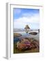 Starfish and Rock Formations along Indian Beach, Oregon Coast-Craig Tuttle-Framed Photographic Print