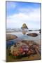 Starfish and Rock Formations along Indian Beach, Oregon Coast-Craig Tuttle-Mounted Photographic Print
