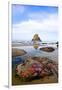 Starfish and Rock Formations along Indian Beach, Oregon Coast-Craig Tuttle-Framed Photographic Print