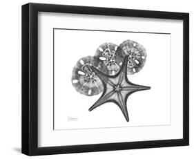 Starfish and Sand Dollar-Albert Koetsier-Framed Art Print