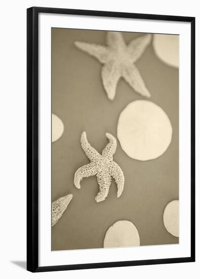 Starfish and Sand Dollars I-Karyn Millet-Framed Photographic Print