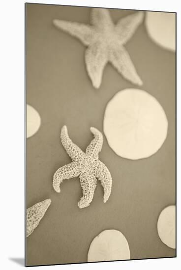 Starfish and Sand Dollars I-Karyn Millet-Mounted Photographic Print
