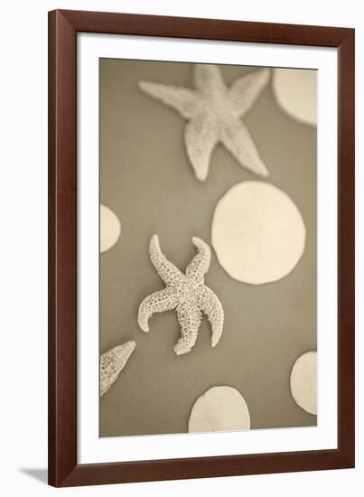 Starfish and Sand Dollars I-Karyn Millet-Framed Photographic Print