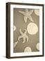 Starfish and Sand Dollars I-Karyn Millet-Framed Photographic Print